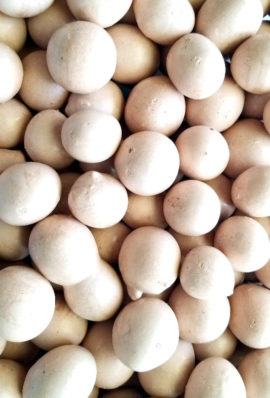 Choco Bombs, Hampton Foods freeze dried salt water taffy with a sweet and creamy flavor with an amazing crunch that will keep you coming back whenever the chocolate cravings hit you! This item comes in a triple sealed, resealable 5x8 bag, 1.3 ounces. Gluten Free.