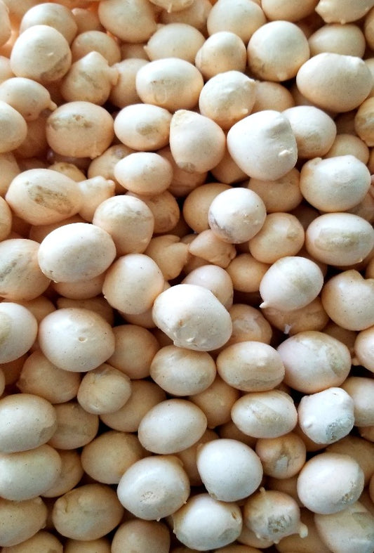 Pumpkin Pie Bombs have a rich taste with a pumpkin pie flavor and surprising crunch that will melt in your mouth! Give someone the taste of their favorite holiday dessert, but in the form of a no mess snack!