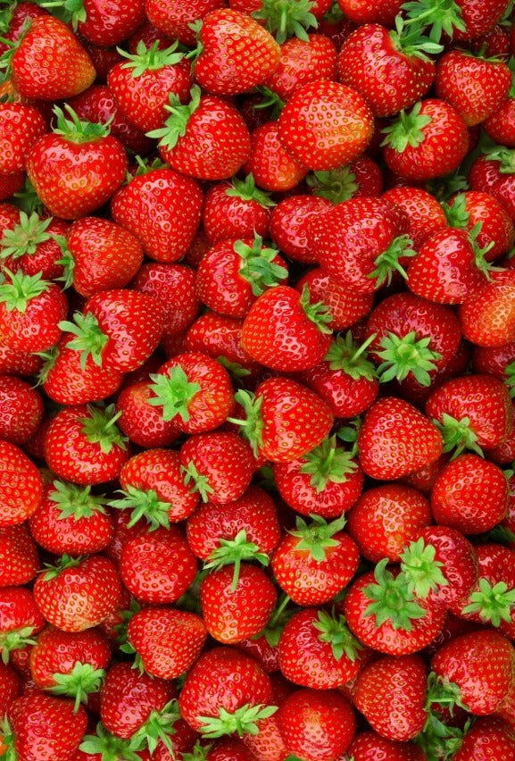 Hampton Foods Freeze Dried Strawberries. Freeze drying significantly reduces weight of the strawberries but preserves all of the nutrients. A 1.15 ounce bag is equal to 14 ounces of fresh strawberries. Easily added to drink mixes, salads, or eaten straight out of the bag while on the go. This item comes in a 1.15oz triple sealed, resealable bag.