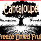  Freeze-Dried Cantaloupe! The Best Way to Enjoy Cantaloupe Anytime, Anywhere Are you a fan of fresh, juicy cantaloupe? Imagine having that same delicious flavor with an added crispy crunch that takes your taste buds to a whole new level. Hampton Foods is thrilled to present our latest innovation: Freeze-Dried Cantaloupe