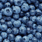 Discover the power of nature with Hampton Foods' Blueberries! Our freeze-dried berries are the perfect way to enjoy the fruit's natural sweetness and nutritious goodness in a convenient, resealable snack bag. Enjoy a handful straight up, or add them to yogurt, salad, ice cream and cereal for a delicious blast of flavor and nutrition.