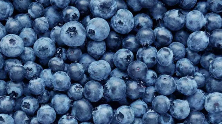 Discover the power of nature with Hampton Foods' Blueberries! Our freeze-dried berries are the perfect way to enjoy the fruit's natural sweetness and nutritious goodness in a convenient, resealable snack bag. Enjoy a handful straight up, or add them to yogurt, salad, ice cream and cereal for a delicious blast of flavor and nutrition.