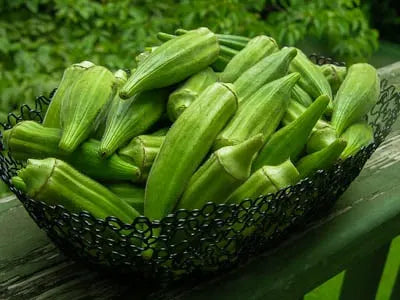 Attention all health-conscious food enthusiasts! Are you on the hunt for a snack that not only delights your taste buds but is also a wholesome and convenient choice? Look no further—Hampton Food's Okra slices are your answer! Our Okra slices undergo a meticulous freeze-drying process to lock in their natural goodness