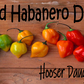 Introducing Hooser Daughters™ Wicked Habanero Dip Mix - the perfect blend of bold chili pepper aroma and mouth-watering flavor with a moderate to high heat kick. If you're a fan of spicy dips that pack a punch, this is the dip mix for you!